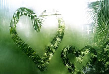 随身wifi代理成新蓝海？揭秘普通人躺赚的管道收益秘籍！